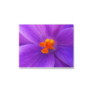 glossy-metal-print-in-white-8x10-front-6916725b8a9fa.jpg Metal prints abstract flora 0003 8″×10″