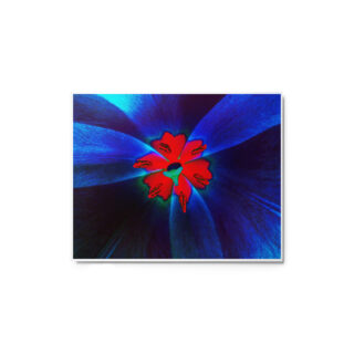 glossy-metal-print-in-white-8x10-front-6916744731f7c.jpg Metal prints abstract flora 0002 8″×10″