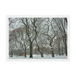 Indoor wall tapestry NEW YORK CITY 6  26″×36″