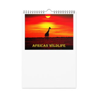 wall-calendar-(2026)-start-w-sun-8.26x11.69-front-6908b40349d01 Wall calendar (2026) african wildlife