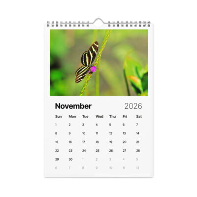 Wall calendar (2026) butterfly