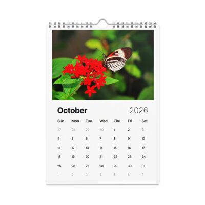 Wall calendar (2026) butterfly