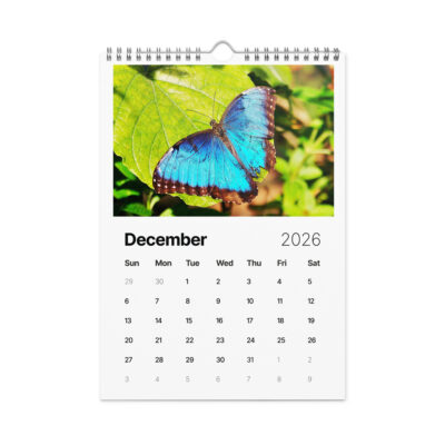 Wall calendar (2026) butterfly