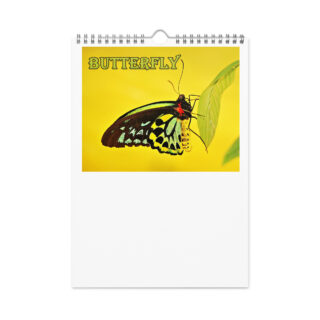 wall-calendar-(2026)-start-w-sun-8.26x11.69-front-6908b42683369 Wall calendar (2026) butterfly
