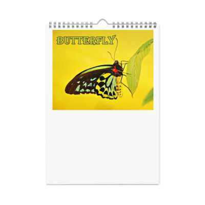 Wall calendar (2026) butterfly