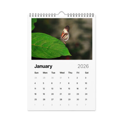 Wall calendar (2026) butterfly