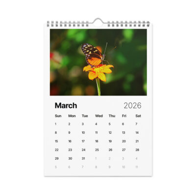 Wall calendar (2026) butterfly