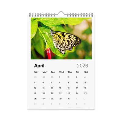Wall calendar (2026) butterfly
