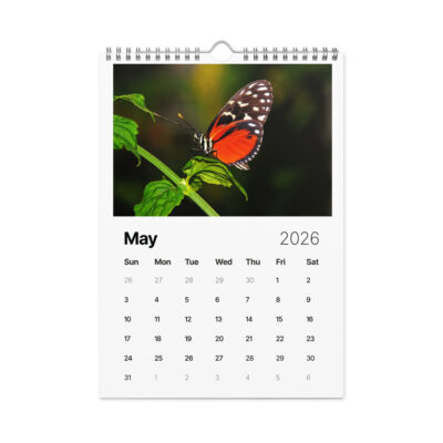 Wall calendar (2026) butterfly