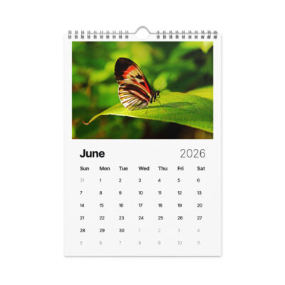 Wall calendar (2026) butterfly