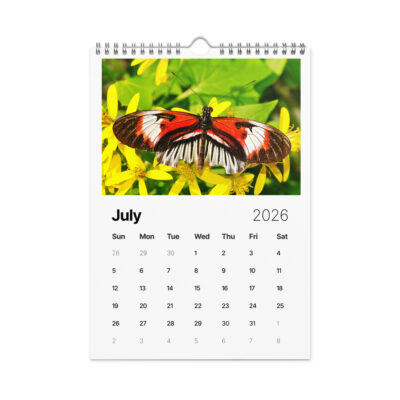 Wall calendar (2026) butterfly