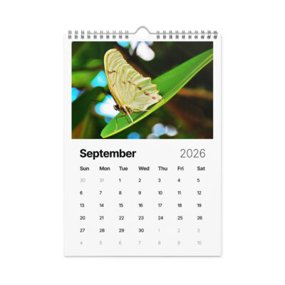 Wall calendar (2026) butterfly