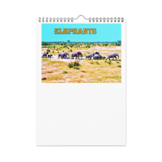 wall-calendar-(2026)-start-w-sun-8.26x11.69-front-6908b477ddf91 Wall calendar (2026) elephants