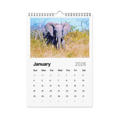 wall-calendar-(2026)-start-w-sun-8.26x11.69-front-6908b477de596 Wall calendar (2026) elephants