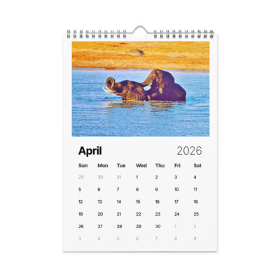 wall-calendar-(2026)-start-w-sun-8.26x11.69-front-6908b477df706 Wall calendar (2026) elephants