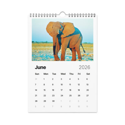 wall-calendar-(2026)-start-w-sun-8.26x11.69-front-6908b477e0315 Wall calendar (2026) elephants