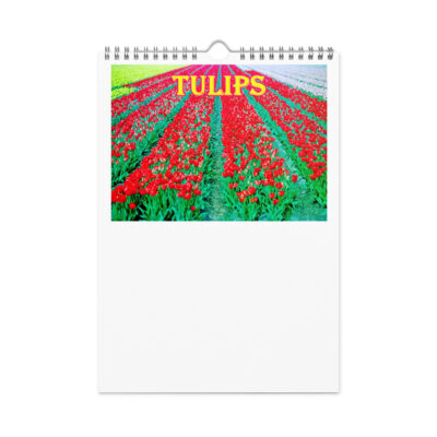 Wall calendar (2026) tulips