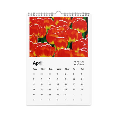 Wall calendar (2026) tulips