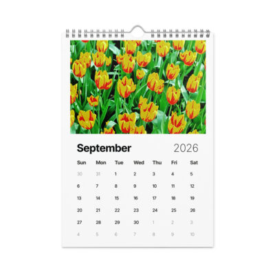 Wall calendar (2026) tulips