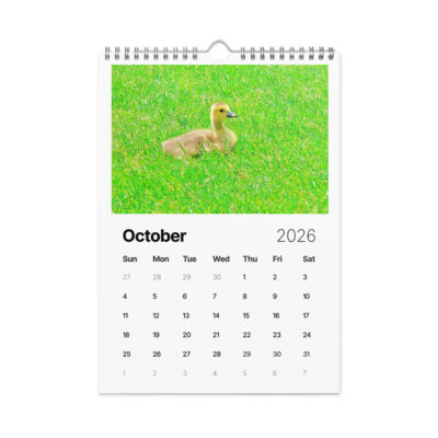 Wall calendar (2026) birds