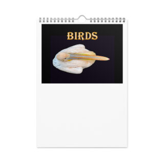 Wall calendar (2026) birds