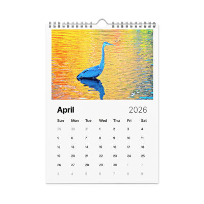 Wall calendar (2026) birds