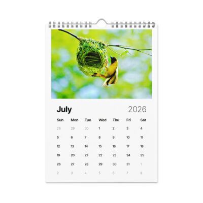 Wall calendar (2026) birds