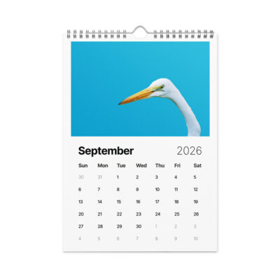 Wall calendar (2026) birds