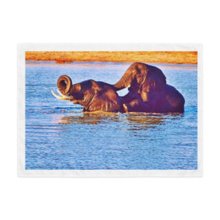 Indoor wall tapestry elephant 4 26″×36″