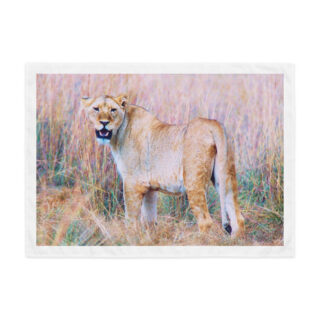 Indoor wall tapestry  lion 4 26″×36″