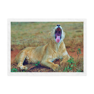 Indoor wall tapestry  lion 3 26″×36″