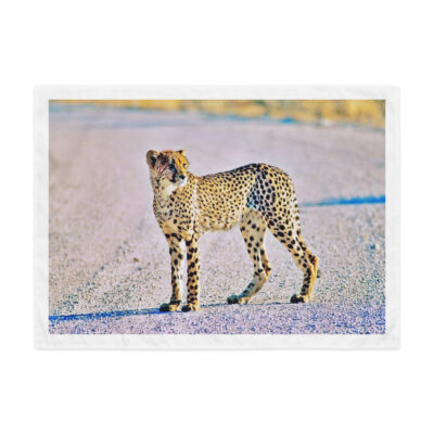 Indoor wall tapestry cheetah 2 26″×36″