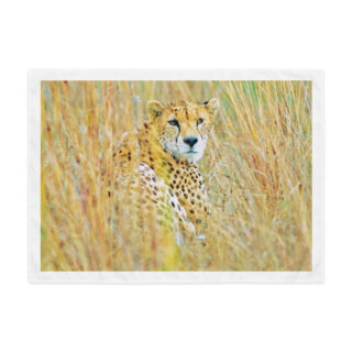 Indoor wall tapestry cheetah 3 26″×36″