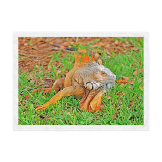 Indoor wall tapestry egona 4  26″×36″