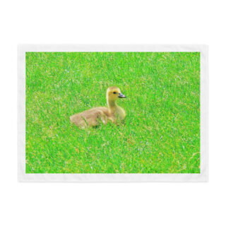 Indoor wall tapestry Canada Goose 1  26″×36″