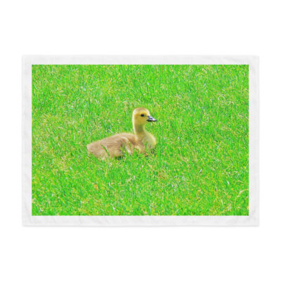 Indoor wall tapestry Canada Goose 1  26″×36″