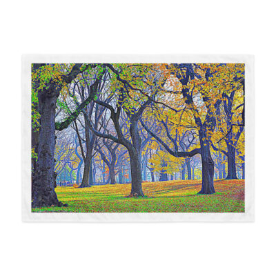 indoor-wall-tapestry-26x36-front-69307229d92ff.jpg Indoor wall tapestry New York City Central Park Foliage 3 26″×36″
