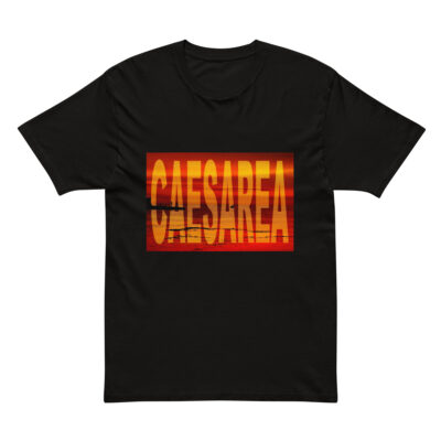 Cotton Heritage MC1082 I Men's Premium Short Sleeve Tee israel caesarea 001