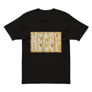 Cotton Heritage MC1082 I Men's Premium Short Sleeve Tee Israel Negev 002