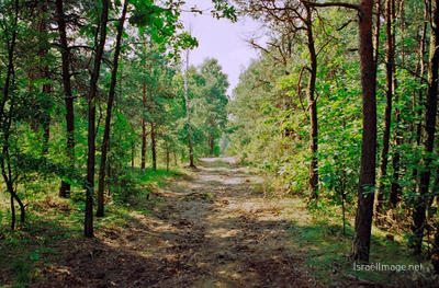 Belzec Camp Gate 0004