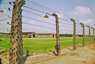 Birkenau Electrified Barbed Wire Fence 0003