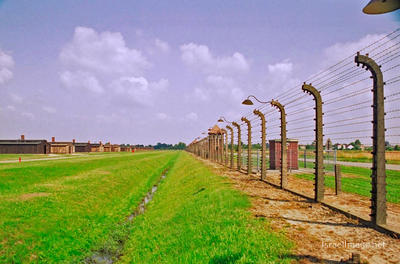Birkenau Electrified Barbed Wire Fence 0004