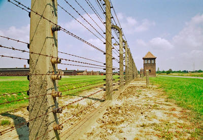 Birkenau Electrified Barbed Wire Fence 0007