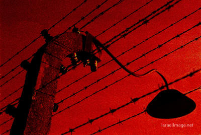 Birkenau Electrified Barbed Wire Fence 0008