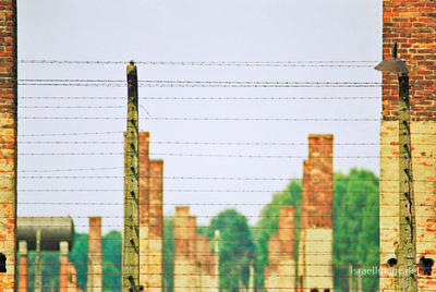 Birkenau Electrified Barbed Wire Fence 0012