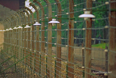 Buchenwald Barbed Wire Fence And Watch Tower 0006