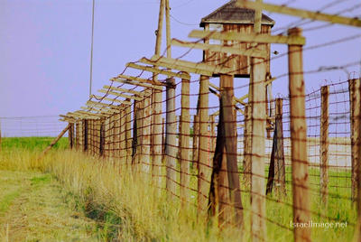 Majdanek Barbed Wire Fence 0005
