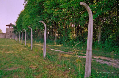 Mauthausen Barbed Wire Fence 0001