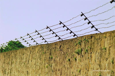 Mauthausen Barbed Wire Fence 0004