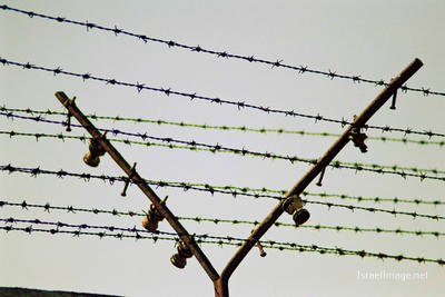 Mauthausen Barbed Wire Fence 0005